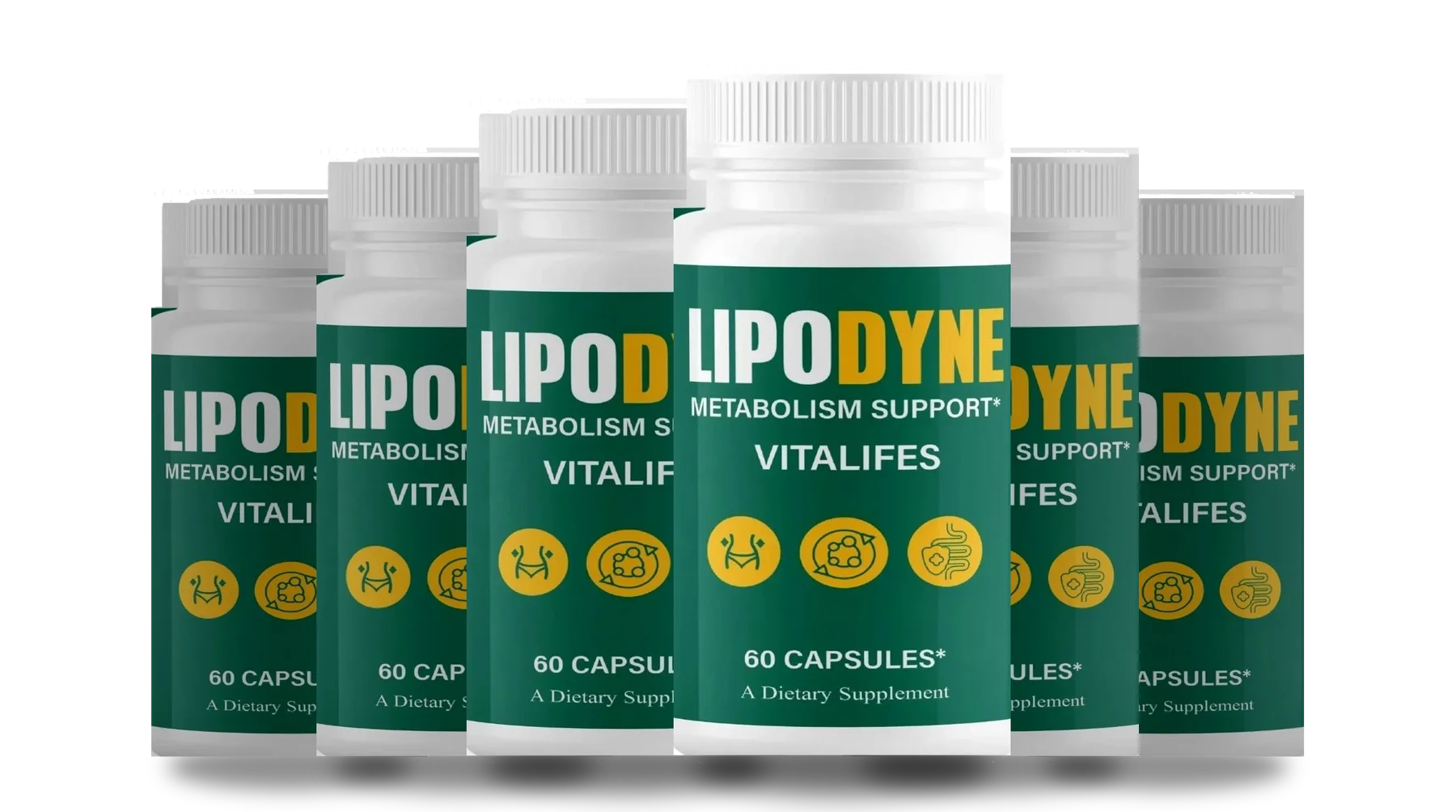 The LipoDyne 6 bottles pack
